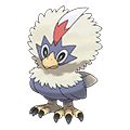 rufflet weakness.